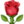 🌹